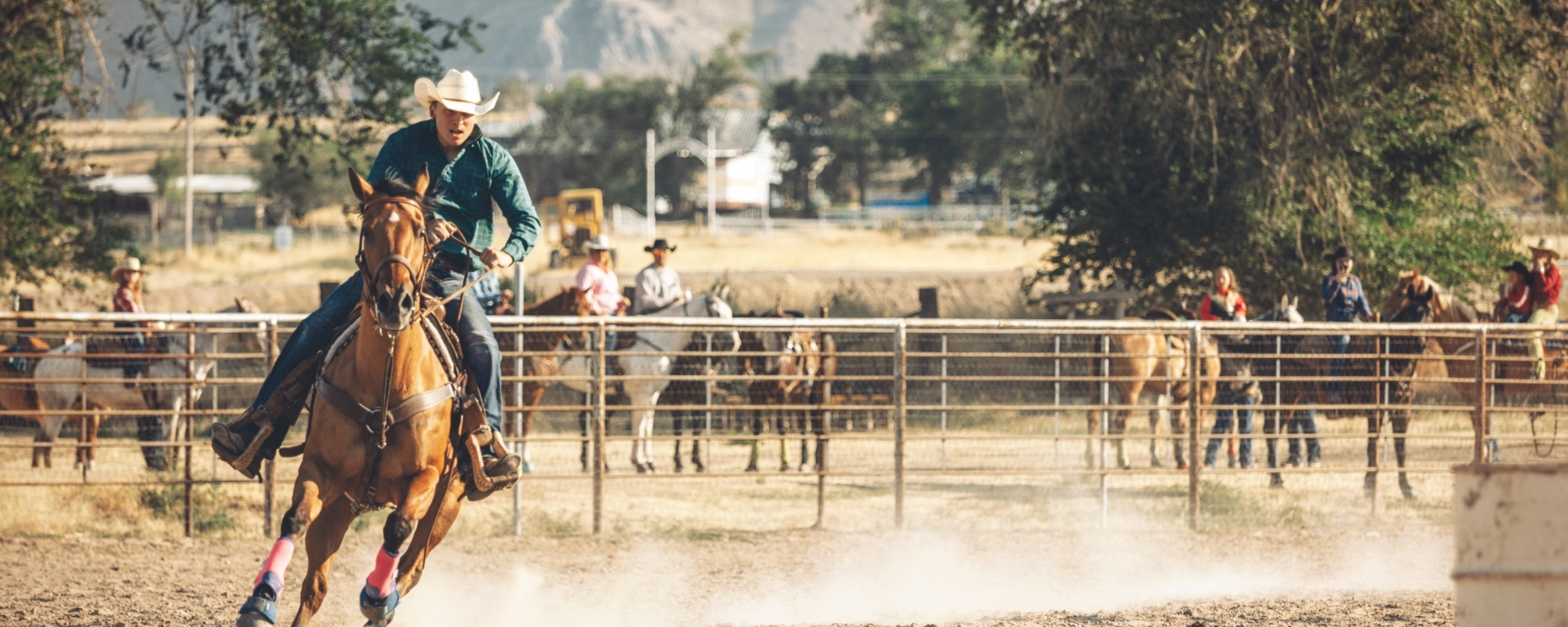 rodeo
