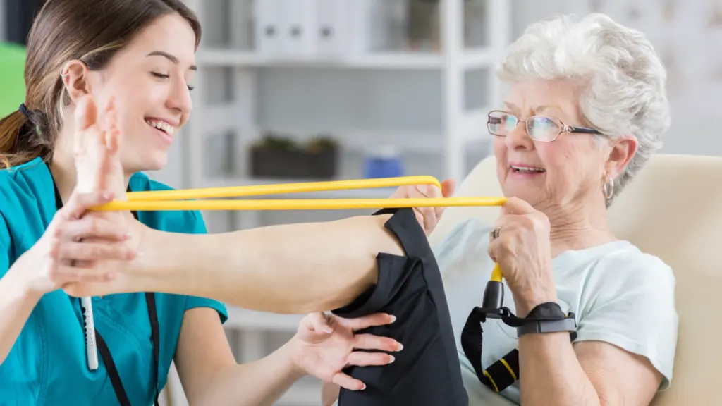 physical therapy services